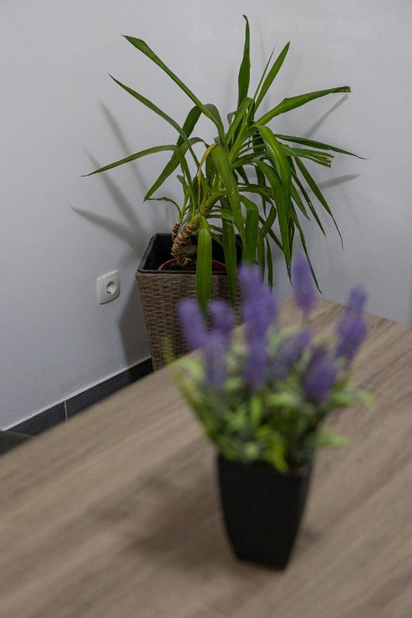 Apartman Toni Σπλιτ Εξωτερικό φωτογραφία